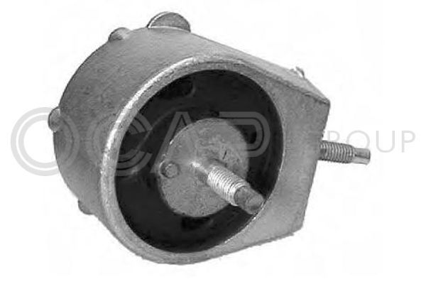 Laikiklis, variklio montavimas OCAP 1226316