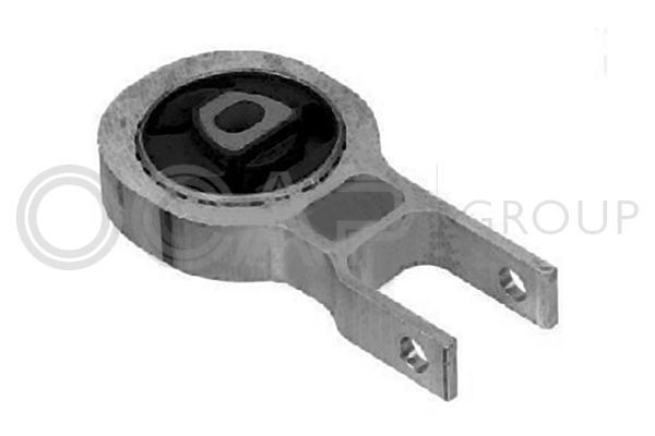 Laikiklis, variklio montavimas OCAP 1226351