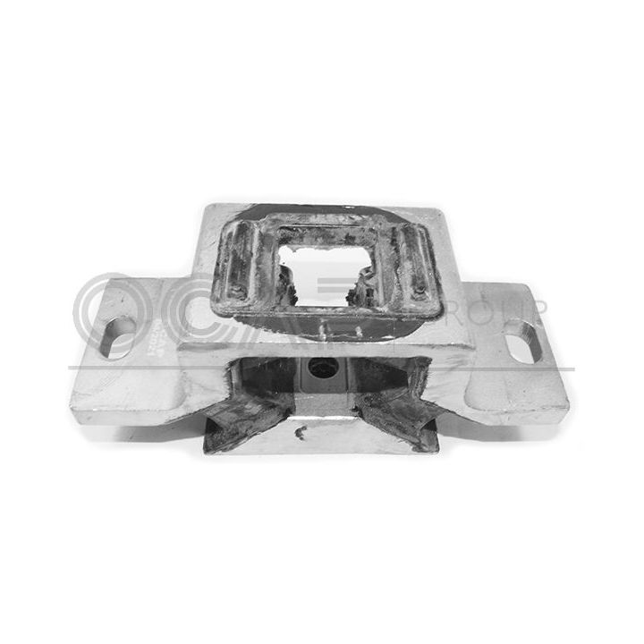 Laikiklis, variklio montavimas OCAP 1226370