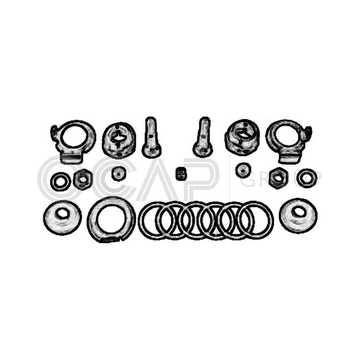 Remonto komplektas, rato pakaba OCAP 0900704