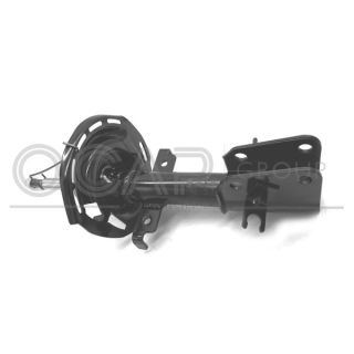 Amortizatorius OCAP 82049FU