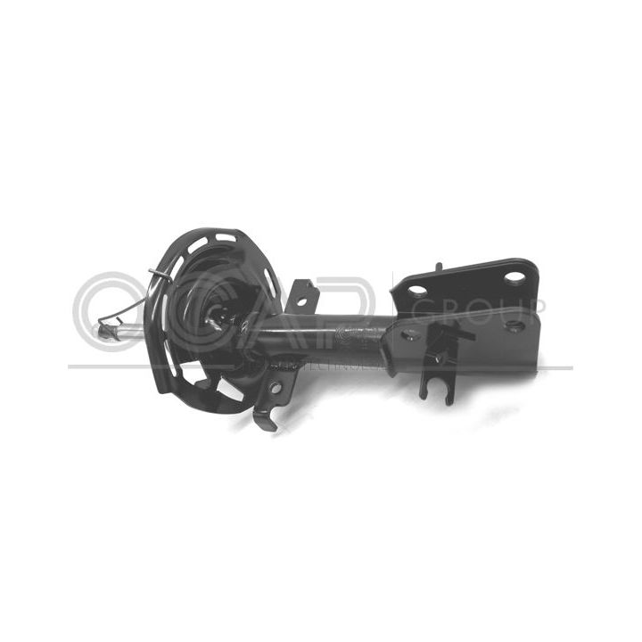 Amortizatorius OCAP 82049FU