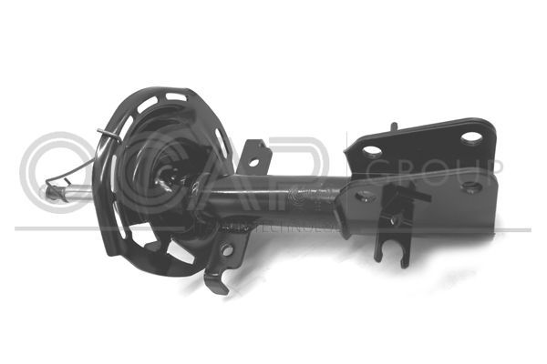 Amortizatorius OCAP 82049FU