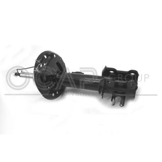 Amortizatorius OCAP 82056FL