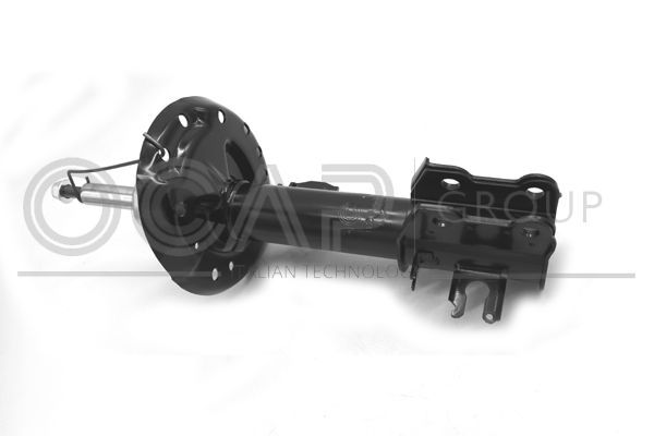 Amortizatorius OCAP 82056FL