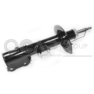 Amortizatorius OCAP 82094FL