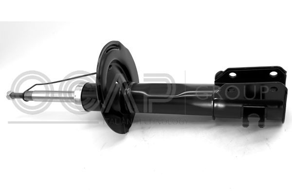 Amortizatorius OCAP 82137FU