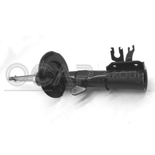 Amortizatorius OCAP 82141FL