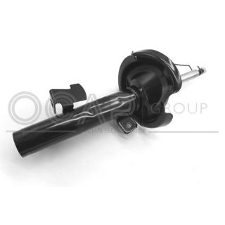 Amortizatorius OCAP 82196FL