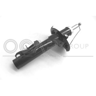 Amortizatorius OCAP 82196FR