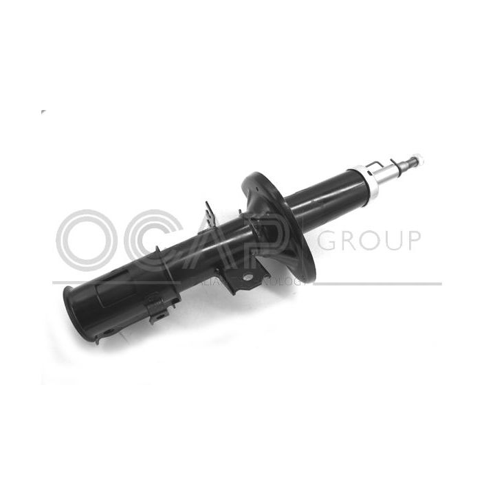 Amortizatorius OCAP 82243FL