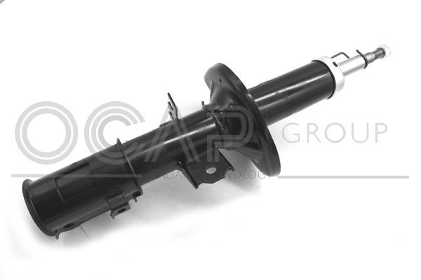 Amortizatorius OCAP 82243FL