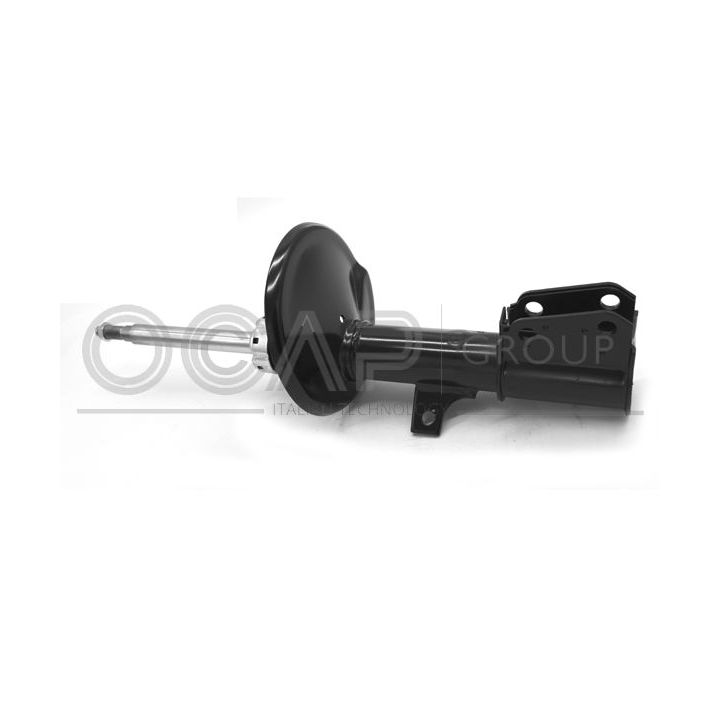 Amortizatorius OCAP 82295FL