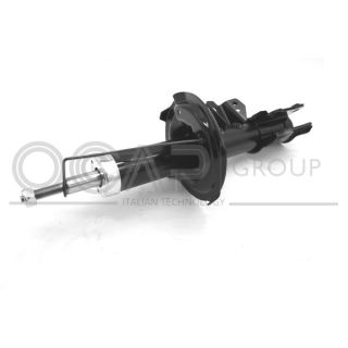 Amortizatorius OCAP 82388FL