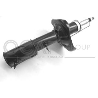 Amortizatorius OCAP 82429FL