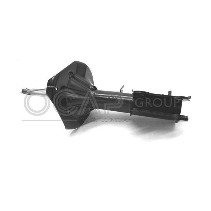 Amortizatorius OCAP 82429FR