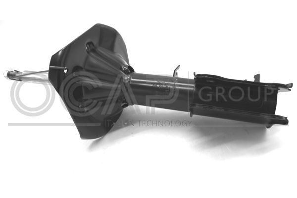 Amortizatorius OCAP 82429FR