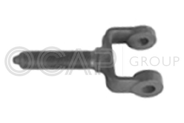 Skersinės vairo trauklės galas OCAP 0180812