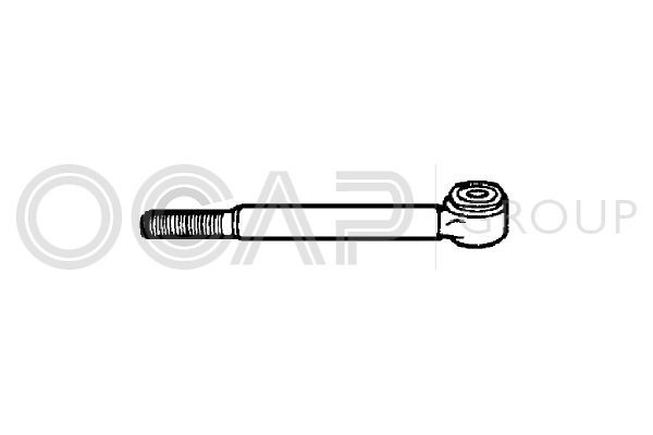 Skersinės vairo trauklės galas OCAP 0181700