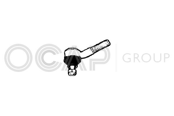 Skersinės vairo trauklės galas OCAP 0190838