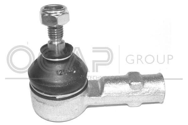 Skersinės vairo trauklės galas OCAP 0281884