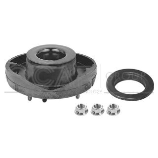 Pakabos statramsčio atraminis guolis OCAP 8400034