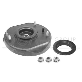 Pakabos statramsčio atraminis guolis OCAP 8400035