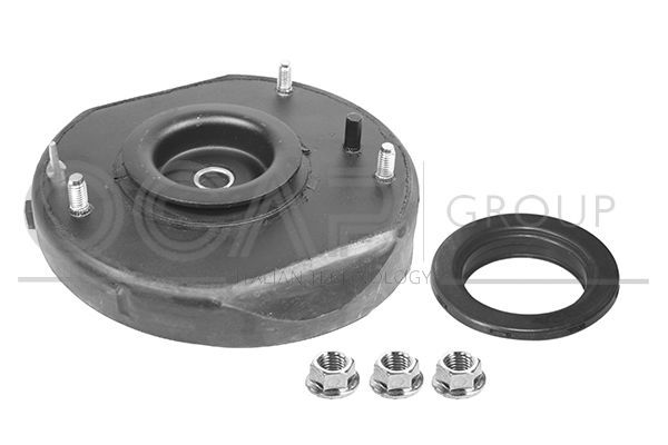 Pakabos statramsčio atraminis guolis OCAP 8400035