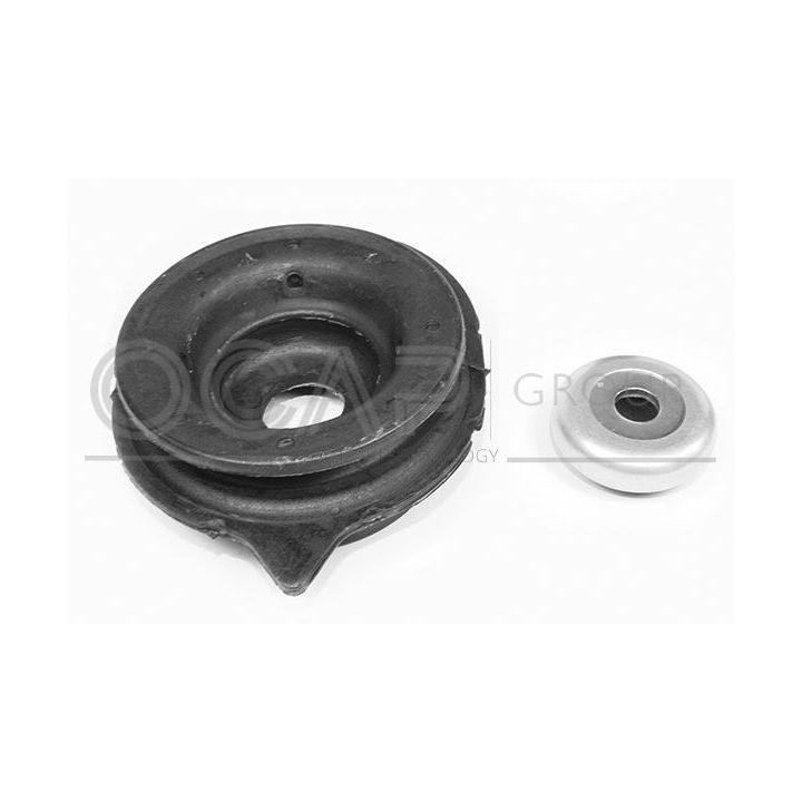 Pakabos statramsčio atraminis guolis OCAP 8400063