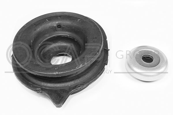 Pakabos statramsčio atraminis guolis OCAP 8400063