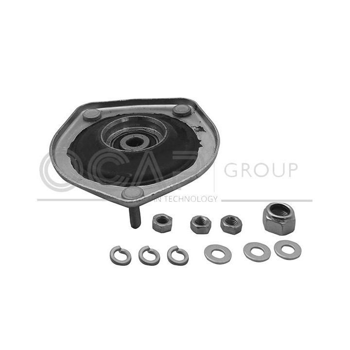 Pakabos statramsčio atraminis guolis OCAP 8400064