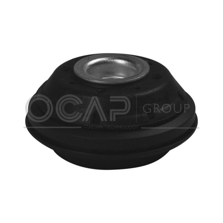 Pakabos statramsčio atraminis guolis OCAP 8400069