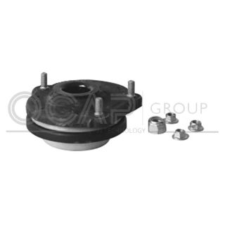 Pakabos statramsčio atraminis guolis OCAP 8400071