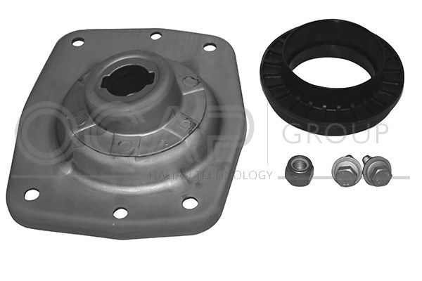 Pakabos statramsčio atraminis guolis OCAP 8400084