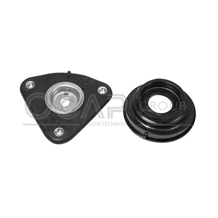 Pakabos statramsčio atraminis guolis OCAP 8400145