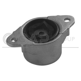 Pakabos statramsčio atraminis guolis OCAP 8400162