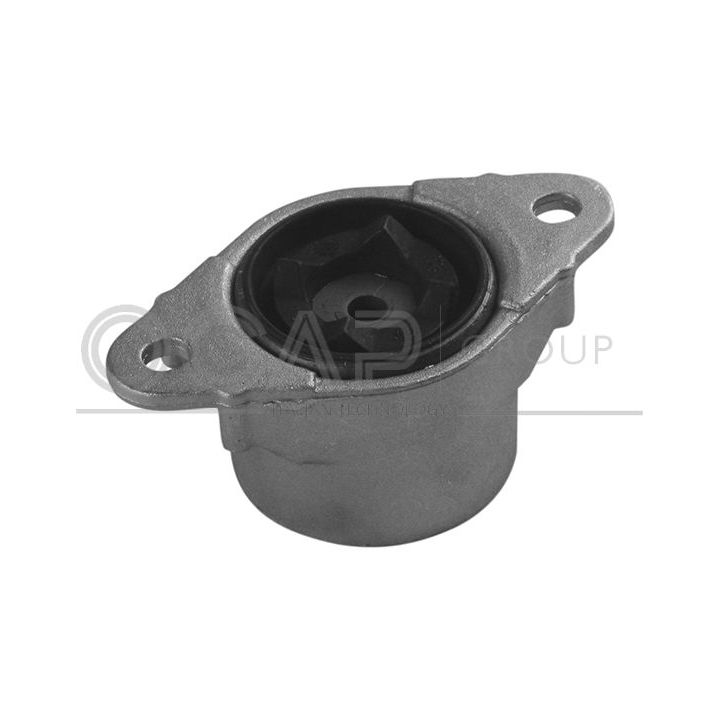 Pakabos statramsčio atraminis guolis OCAP 8400162