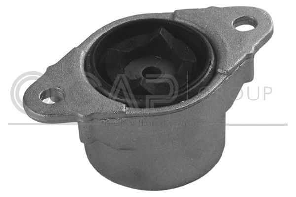 Pakabos statramsčio atraminis guolis OCAP 8400162