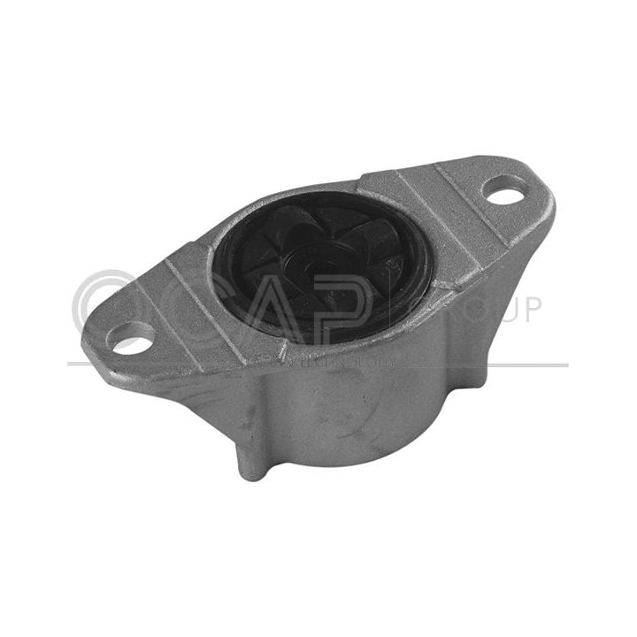 Pakabos statramsčio atraminis guolis OCAP 8400163