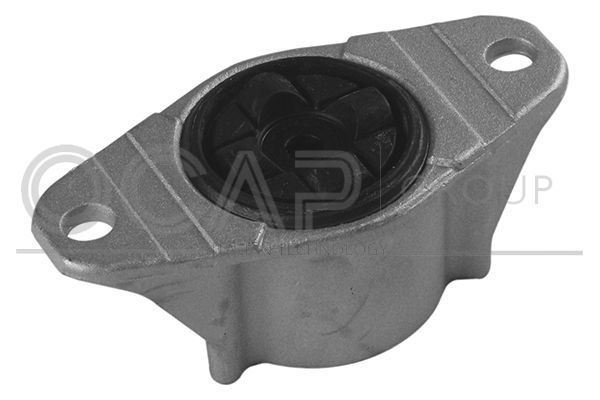 Pakabos statramsčio atraminis guolis OCAP 8400163