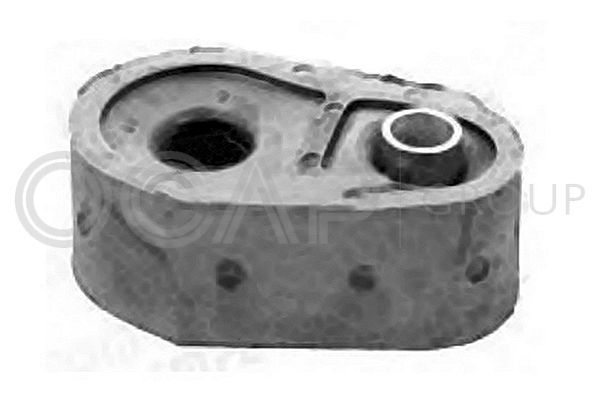 Skersinio stabilizatoriaus įvorių komplektas OCAP 1214254