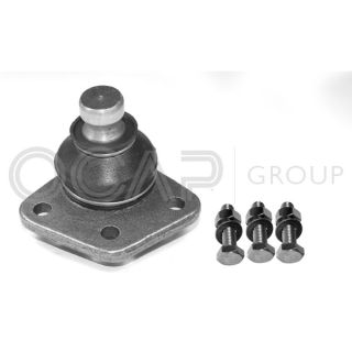 Šarnyras / girgždukas OCAP 0400004