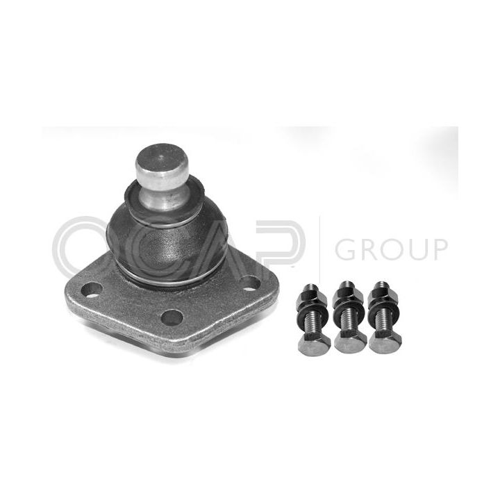 Šarnyras / girgždukas OCAP 0400004