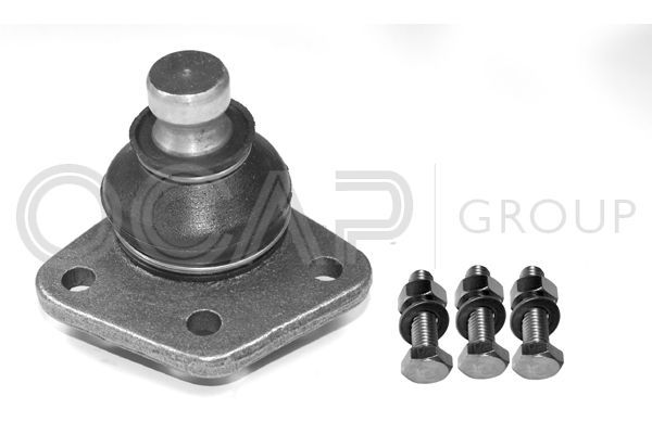 Šarnyras / girgždukas OCAP 0400004