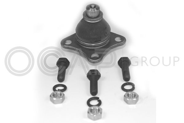 Šarnyras / girgždukas OCAP 0400101