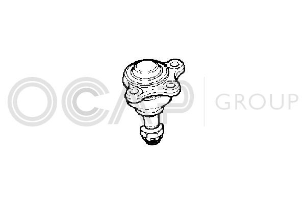 Šarnyras / girgždukas OCAP 0400339