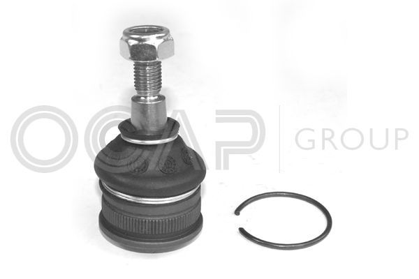 Šarnyras / girgždukas OCAP 0400405