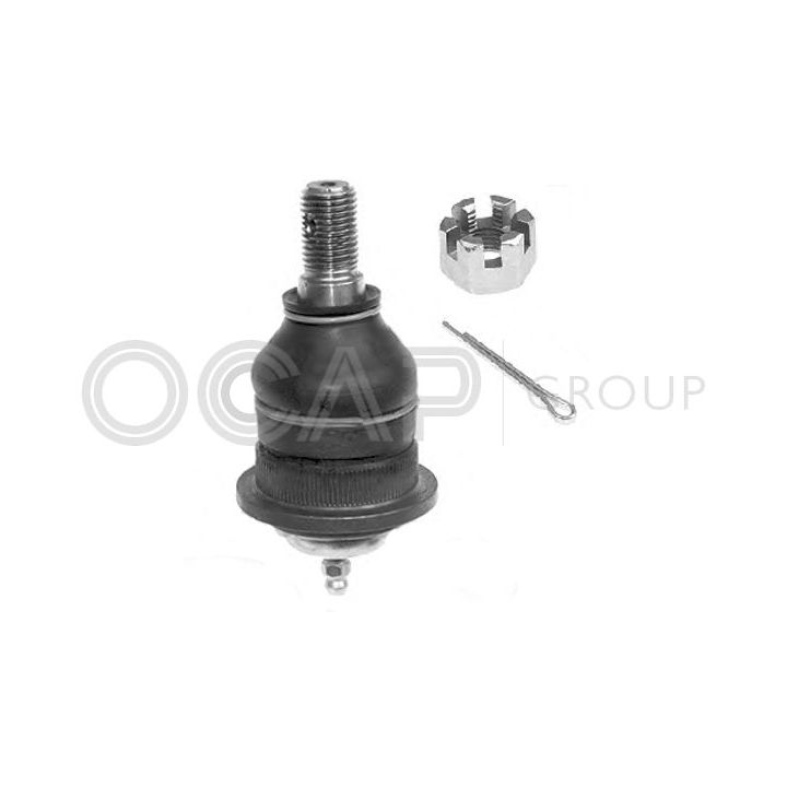 Šarnyras / girgždukas OCAP 0400555