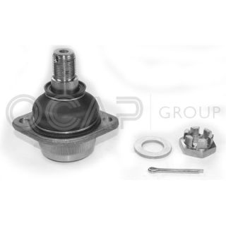 Šarnyras / girgždukas OCAP 0400825