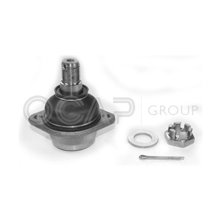 Šarnyras / girgždukas OCAP 0400825